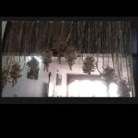 پرده|پرده، رانر، رومیزی|قم, انصارالحسین|دیوار