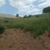 کارگر کشاورزی