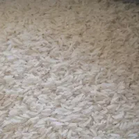 فروش برنج هاشمی دابو