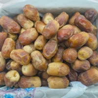 خرمای زاهدی