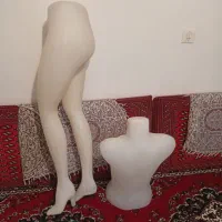 تعدادی مانکن نیم تنه و پای زنانه