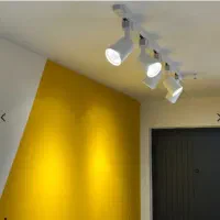 چراغ ریلی ۲۵ وات COB LED اکووات