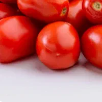گوجه دستچین سفت درجه یک