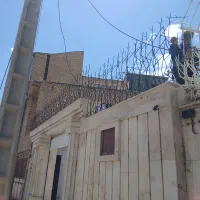 حفاظ شاخ گوزنی