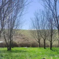 کارگر و نگهبان برای پرورش ماهی