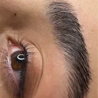 مدل میکروبلیدینگ