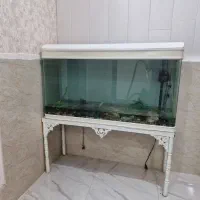 آکواریوم شیشه خم شرکتی