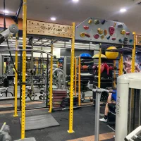 سازه تی ار ایکس