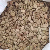 باقله رامهرمز تمیز  زود پز