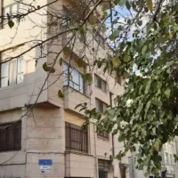 همخانه خانم