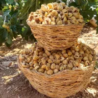 انجیر استهبان فارس