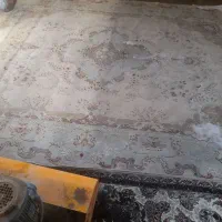 قالی شویی ام البنین