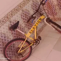 هواز پردیس جمال یک