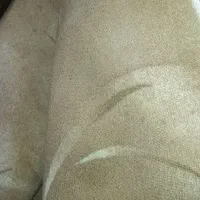 دو عدد موکت پالاز ۶متری