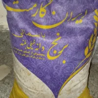 برنج ایران گارمنت