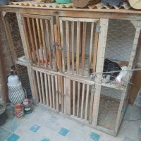 قفس چوبی