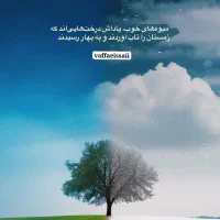 سیم کارت کد 912