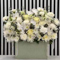 باکس باشکوه و زیبا کد ۱۳۰۵ گلاریس