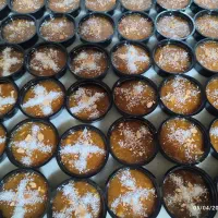 مسقطی ساگو عربی یک محصول ناب
