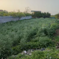 زمین-گرگان