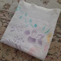 حوله استخری نو