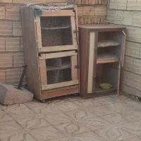 لانه جفت کن کفتر