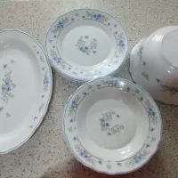 سرویس غذاخوری فرانسه