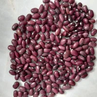 لوبیا قرمز بذر