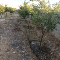 نعمت اله ،صوفیان