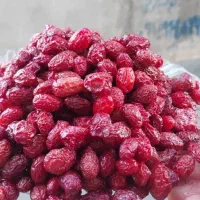 فروش ویژه زغال الخته