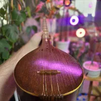 سه تار حرفه ای استاد هاشمی