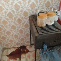 کولر یخچال فرساندویچی کباب پز