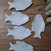 ۵ عدد دیس ماهی دور طلایی مقصود سایز متوسط