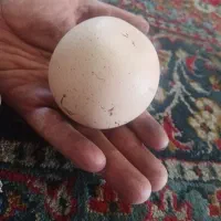 سنگ آسیاب الماس