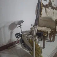 دوچرخه ثابت