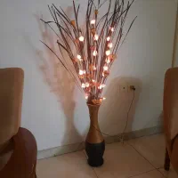 گل چراغدار مجلسی