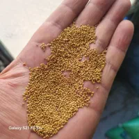 بذر یونجه . شنبلیله . خشه . شبدر