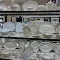 ظروف چینی