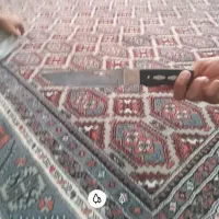 چاقو|ابزارآلات|بندر ترکمن, |دیوار