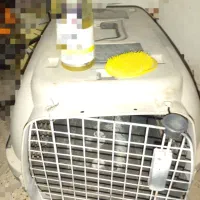 باکس سگ و گربه