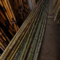 بامبو درجه یک