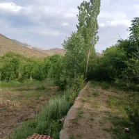 خانه باع در محدوده لاله زار