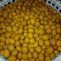 زیتون طارم