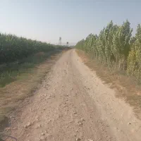 وسیله کوه نوردی