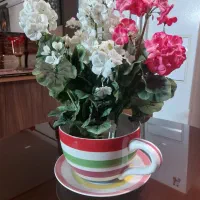 ظرف تزئینی فنجان نلبکی