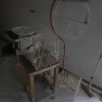 قفس و انواع لوازم پرنده