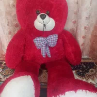 خرس قرمز