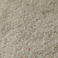 برنج سوسن اصل