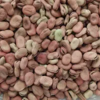 باقلا باقالی