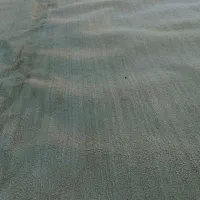 موکت رنگ کرمی تیره